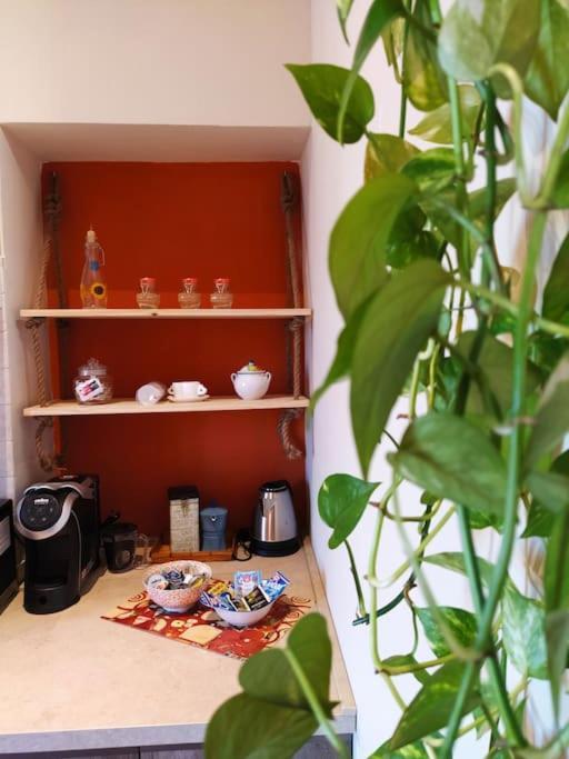 דירות פיומיצ'ינו Casa Degli Alberi מראה חיצוני תמונה